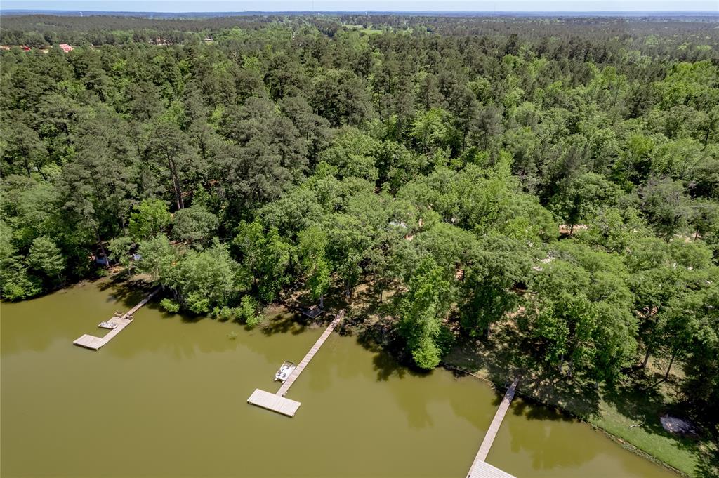 250 Dogwood Forest Trail, Trinity, Texas image 50