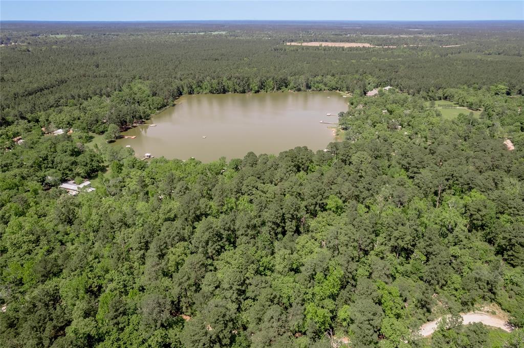 250 Dogwood Forest Trail, Trinity, Texas image 49