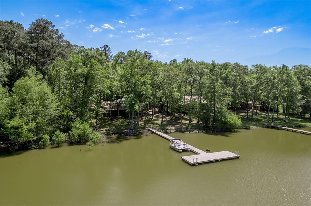 250 Dogwood Forest Trail, Trinity, Texas image 2