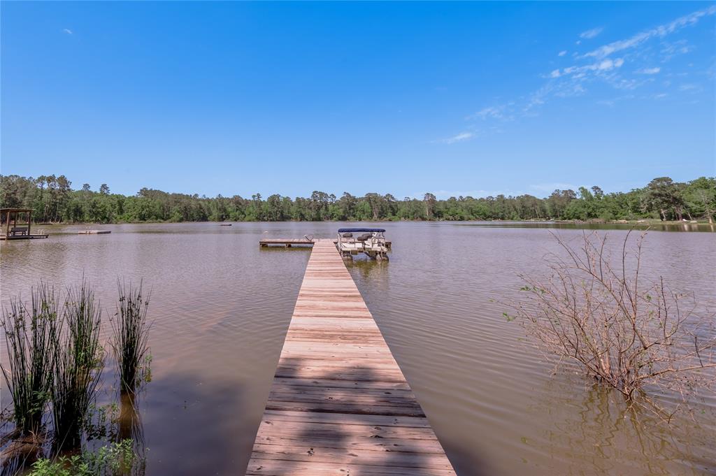 250 Dogwood Forest Trail, Trinity, Texas image 39
