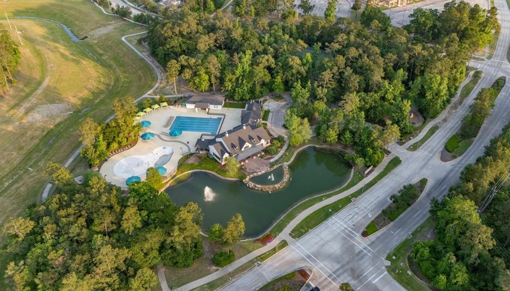 3919 Dorothy Oaks Court, Spring, Texas image 48