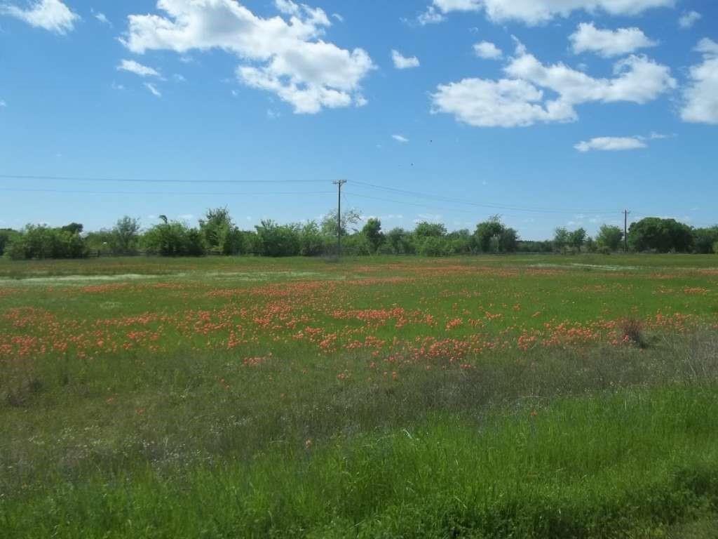 Lot 49 Fox Hollow Road, Lone Oak, Texas image 1