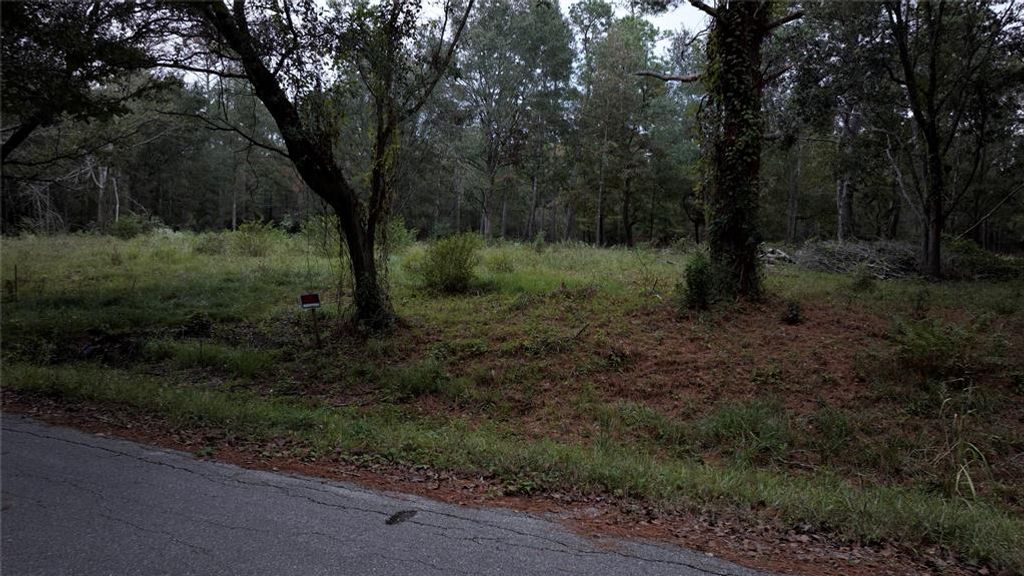 Photo of 1634 Sunrise Trail, Houston, TX 77339 (MLS # 46292019)