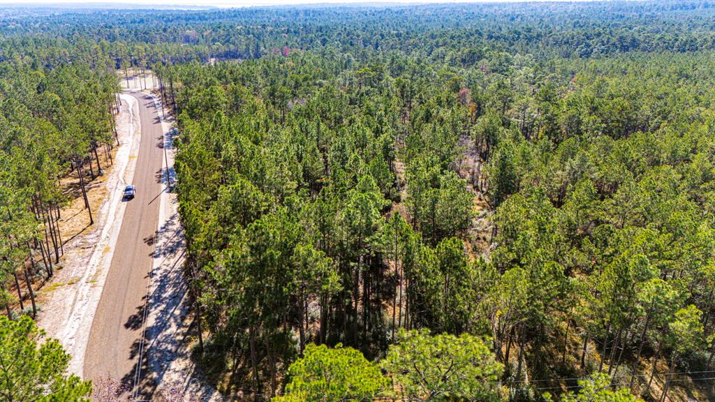 028 King Ranch Road, Onalaska, Texas image 10