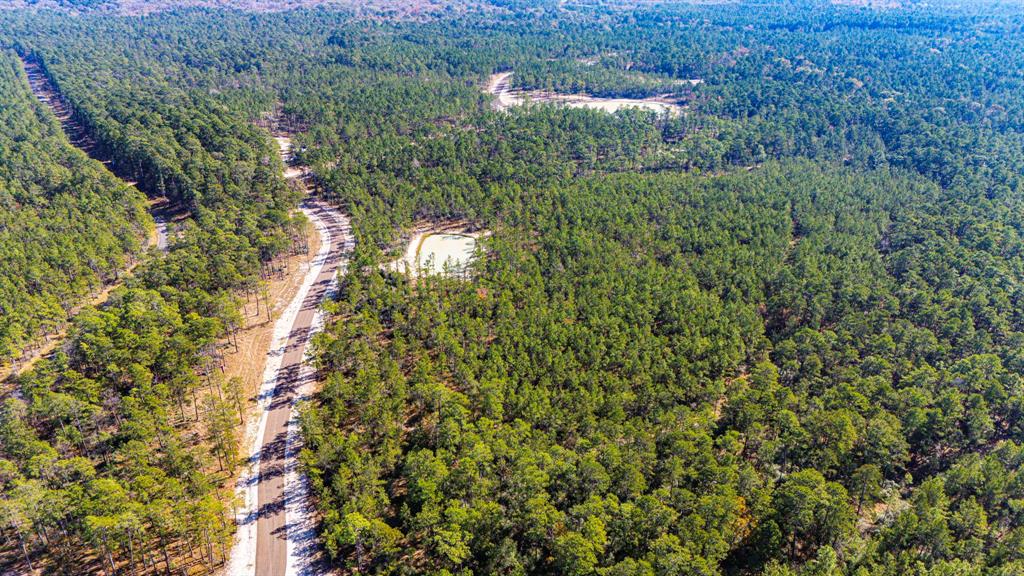 028 King Ranch Road, Onalaska, Texas image 9