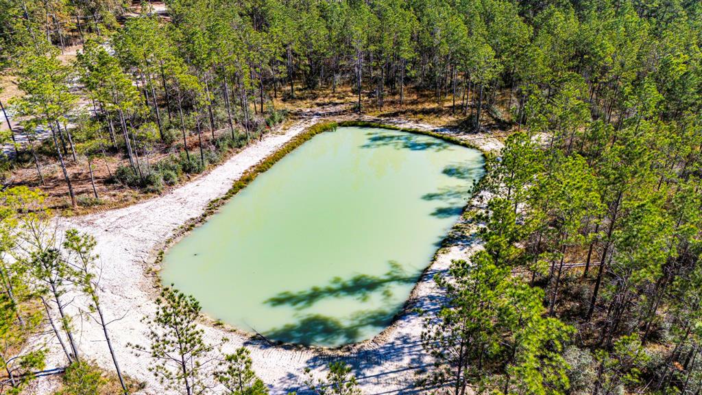 028 King Ranch Road, Onalaska, Texas image 12