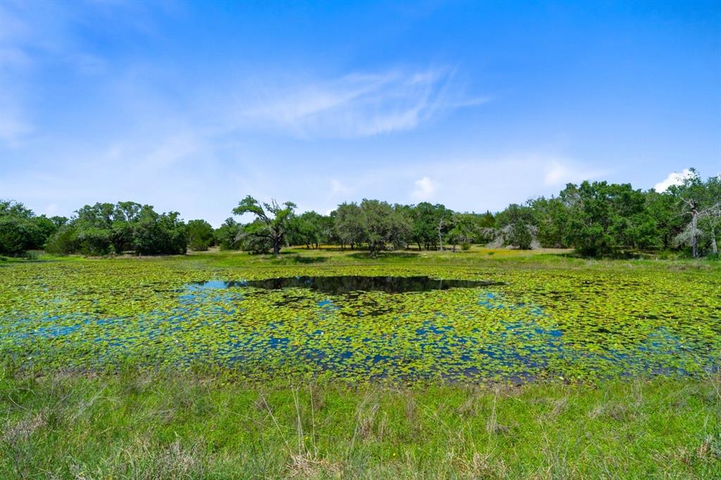 1019 Deerfield Court, Weimar, Texas image 40