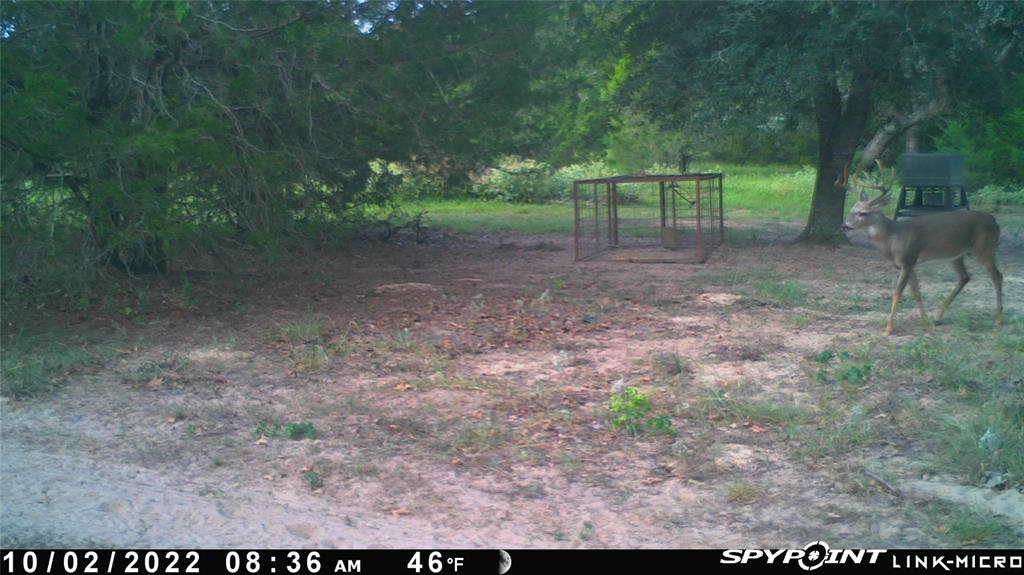 1019 Deerfield Court, Weimar, Texas image 50