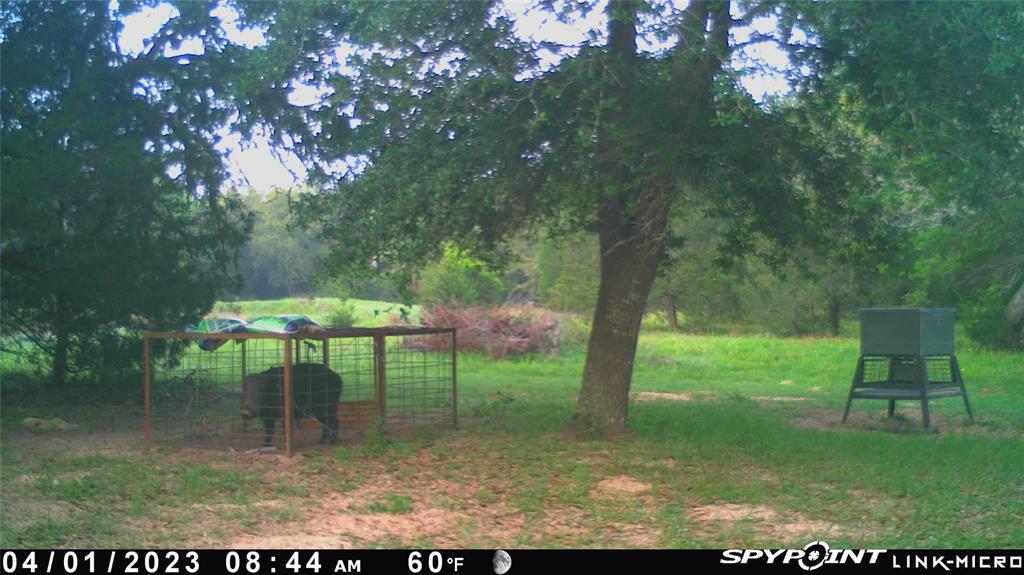 1019 Deerfield Court, Weimar, Texas image 49