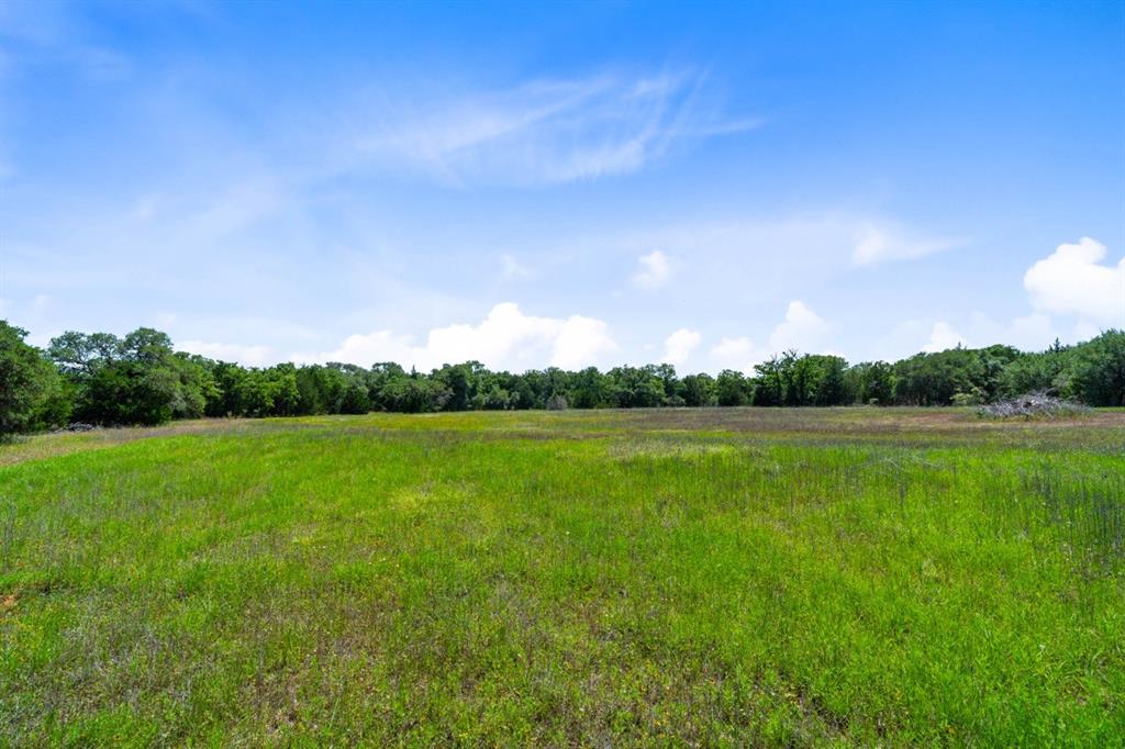 1019 Deerfield Court, Weimar, Texas image 35