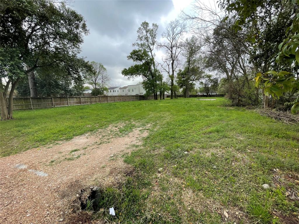 527 Marcella Street, Houston, Texas image 3