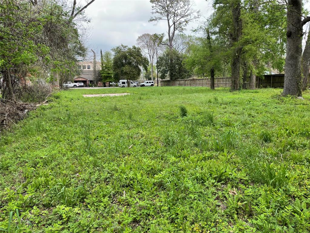 527 Marcella Street, Houston, Texas image 5