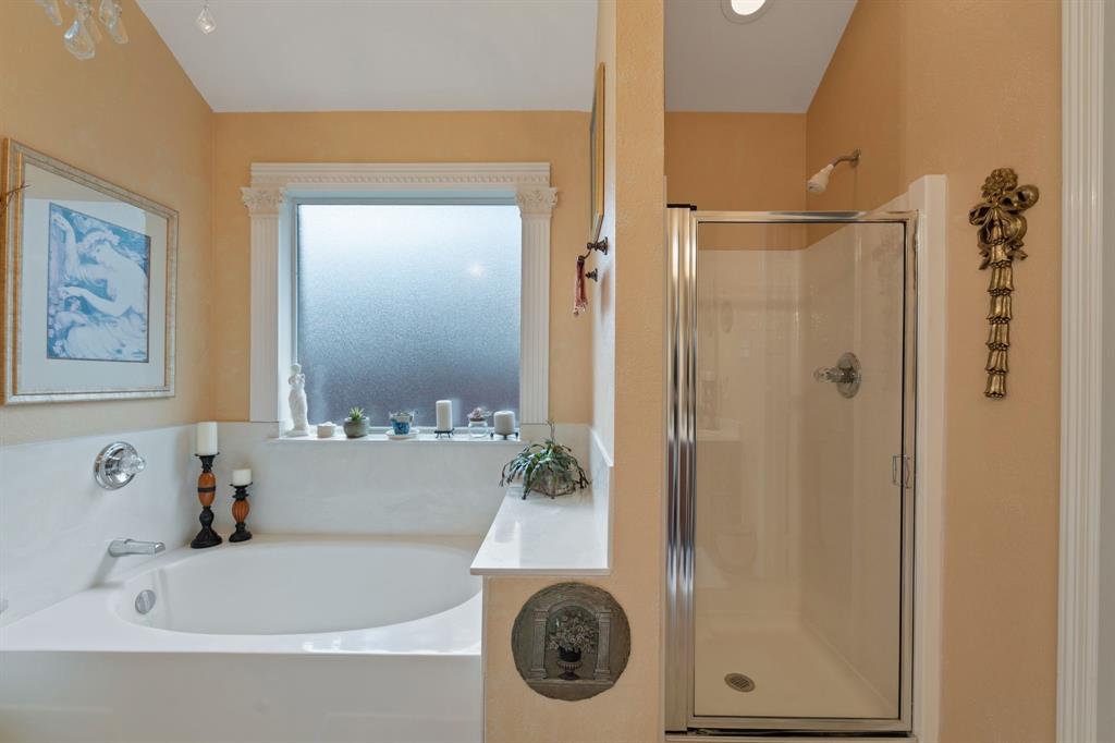 225 Mesa View, Montgomery, Texas image 18