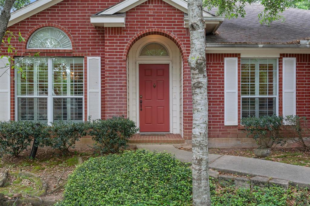 225 Mesa View, Montgomery, Texas image 3