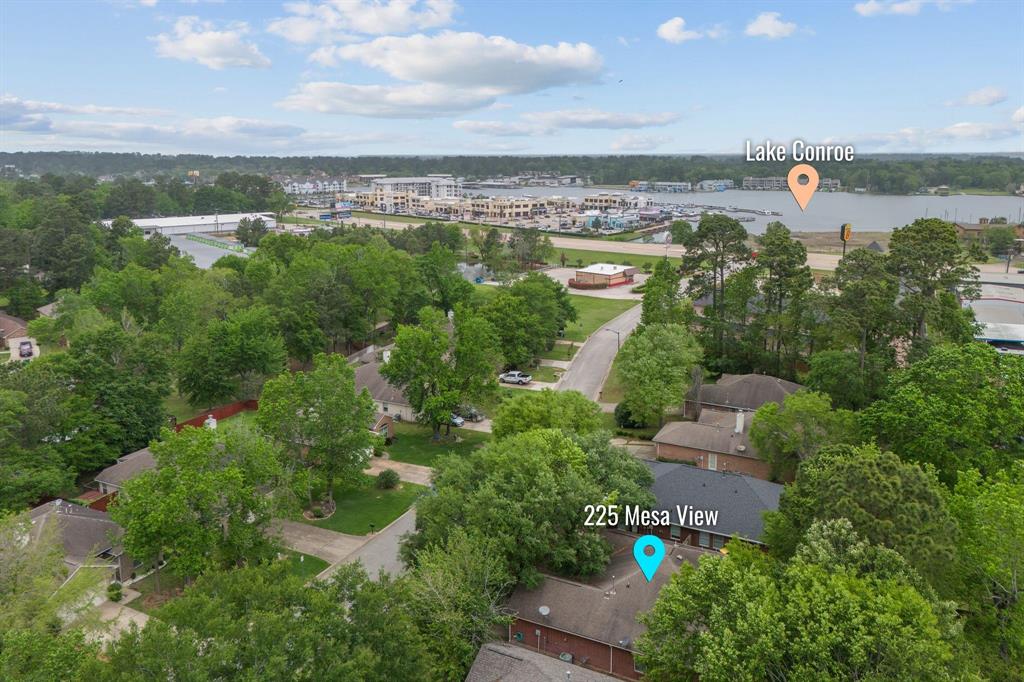 225 Mesa View, Montgomery, Texas image 28