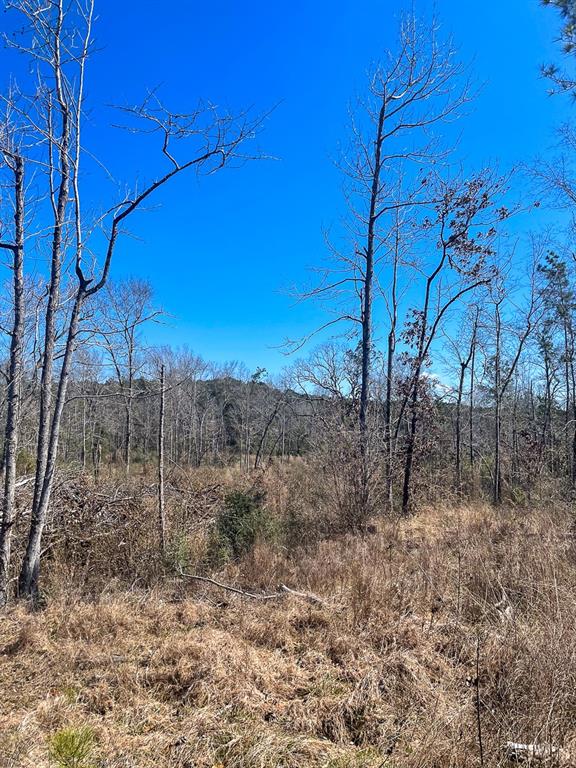 3 Us Hwy 287, Groveton, Texas image 6