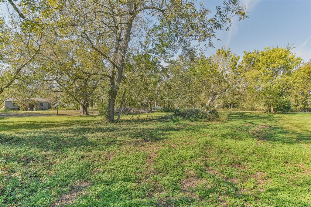 Chase Street, Navasota, Texas image 1