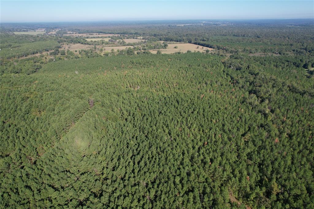 TBD Fenley Flat Road, Lufkin, Texas image 8