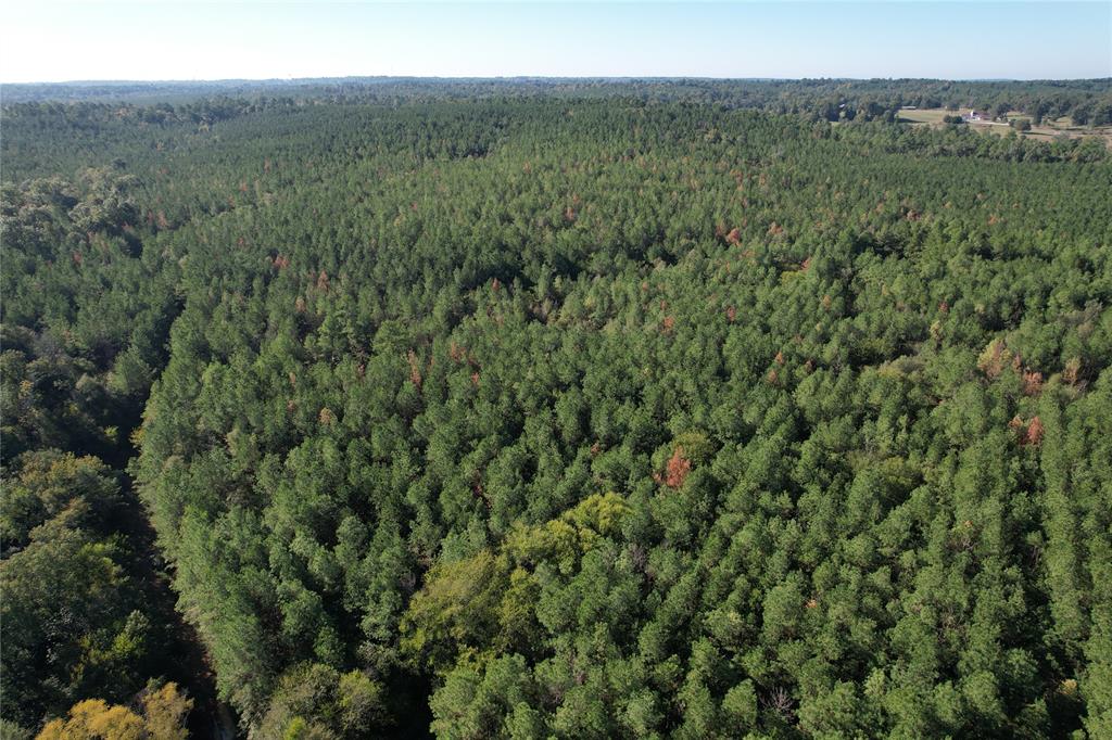 TBD Fenley Flat Road, Lufkin, Texas image 1