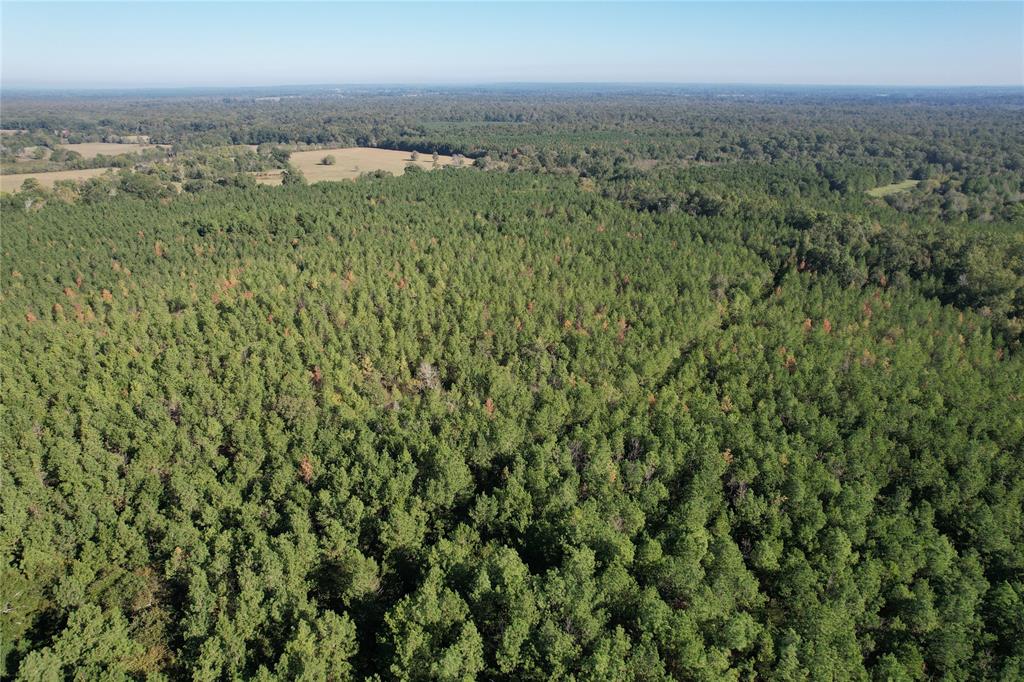 TBD Fenley Flat Road, Lufkin, Texas image 2