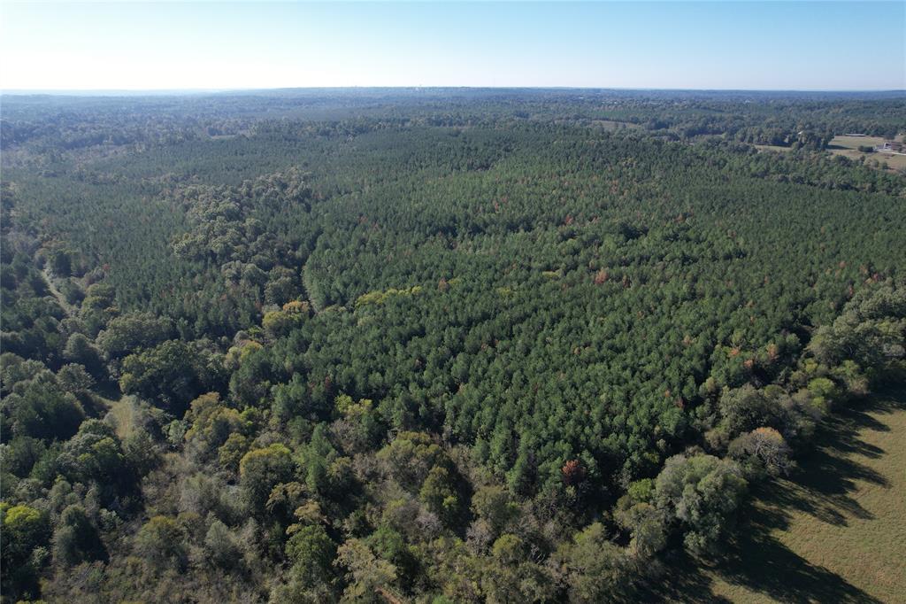 TBD Fenley Flat Road, Lufkin, Texas image 4