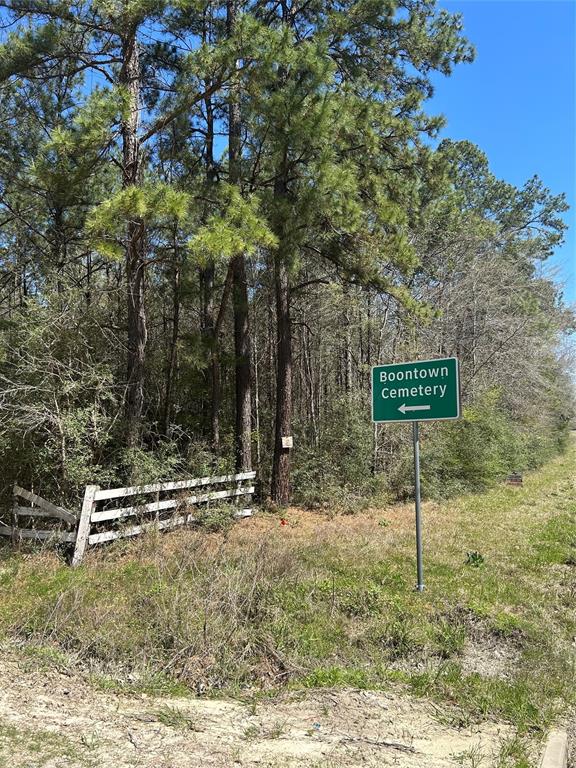 160 Boontown Road Road, Trinity, Texas image 3