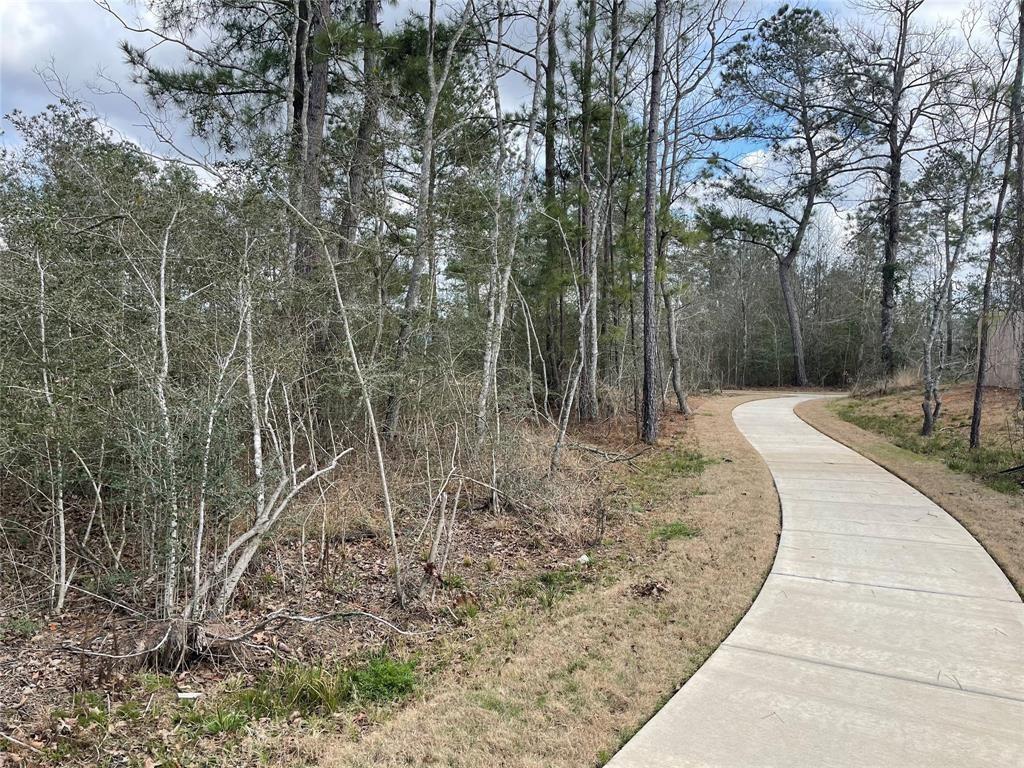 119 Cedar Elm Court, Magnolia, Texas image 29