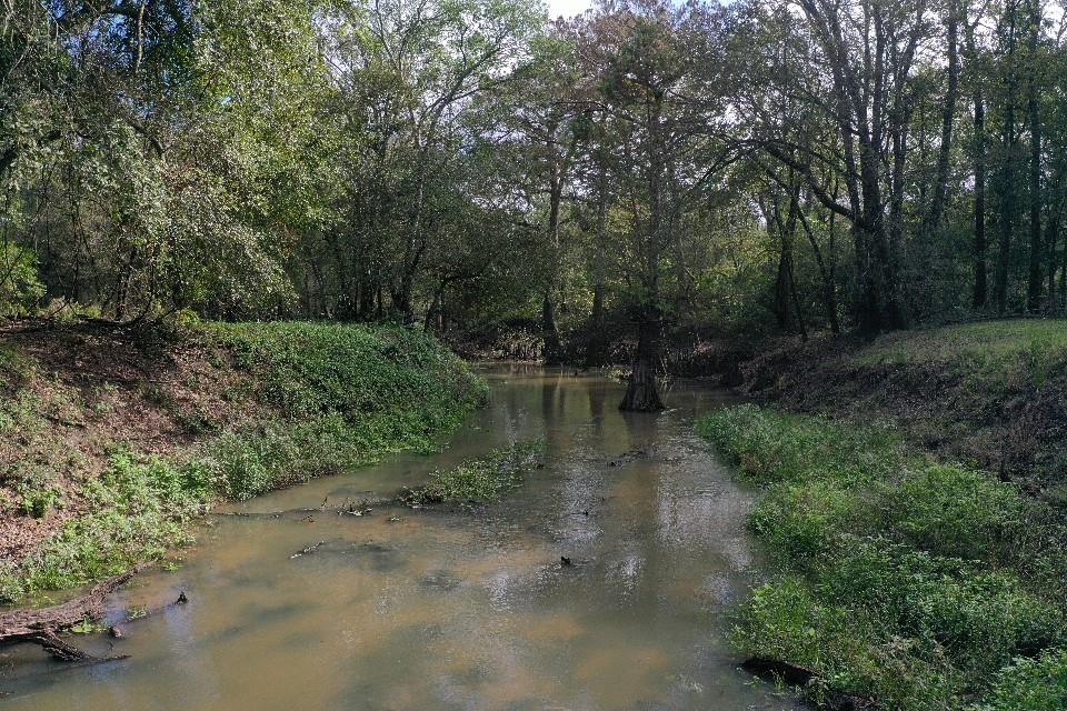 San Bernard Road, East Bernard, Texas image 26