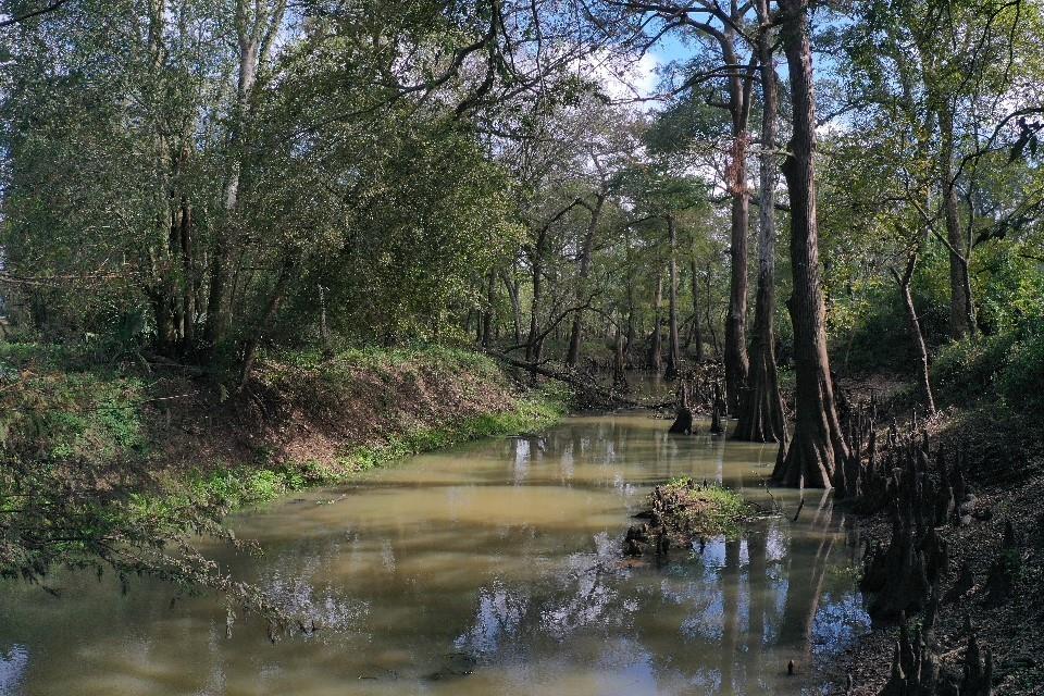 San Bernard Road, East Bernard, Texas image 31