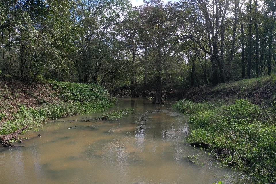 San Bernard Road, East Bernard, Texas image 28