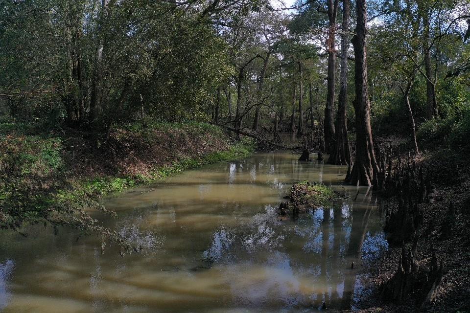 San Bernard Road, East Bernard, Texas image 32