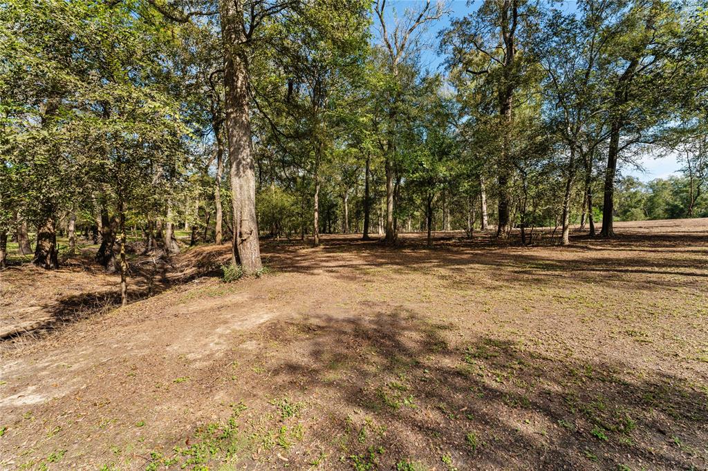 San Bernard Road, East Bernard, Texas image 18