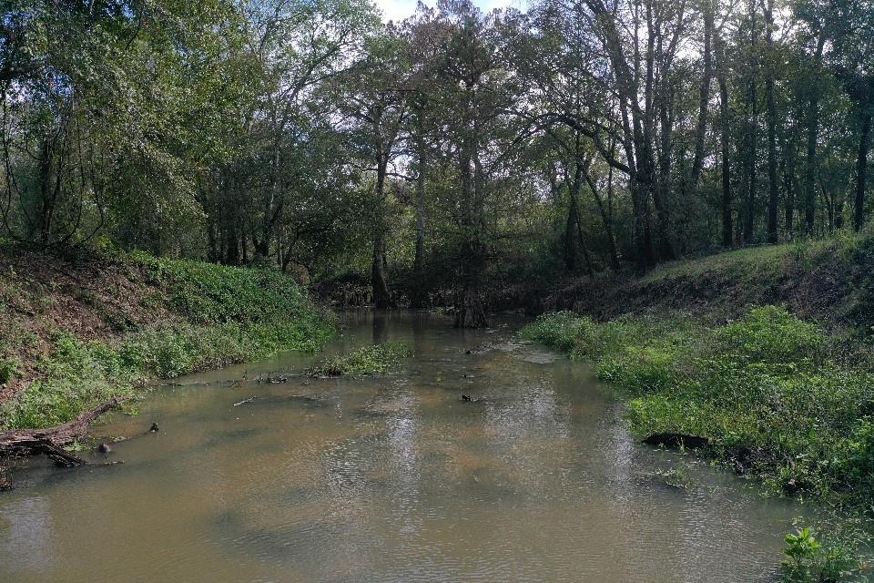 San Bernard Road, East Bernard, Texas image 29