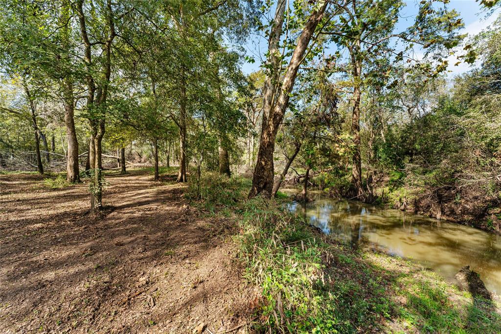 San Bernard Road, East Bernard, Texas image 20