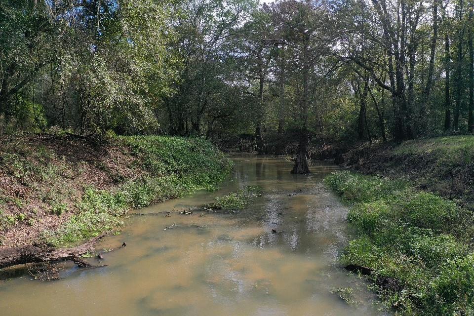 San Bernard Road, East Bernard, Texas image 27