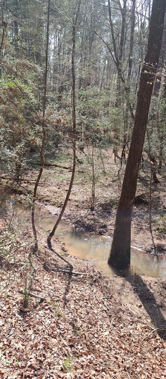 TBD County Road 165, Long Branch, Texas image 29
