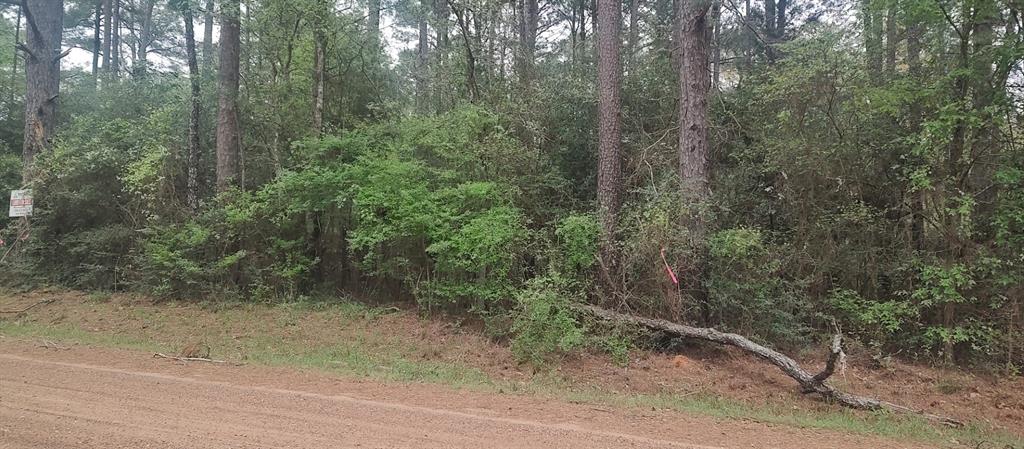TBD County Road 165, Long Branch, Texas image 18