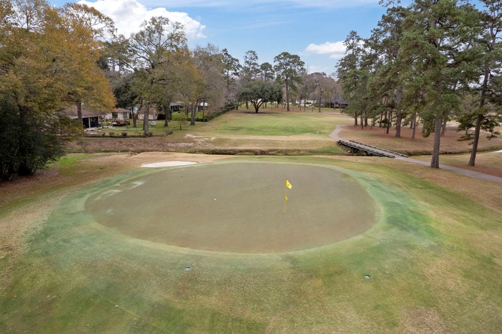 17 Fairway Drive, Conroe, Texas image 35