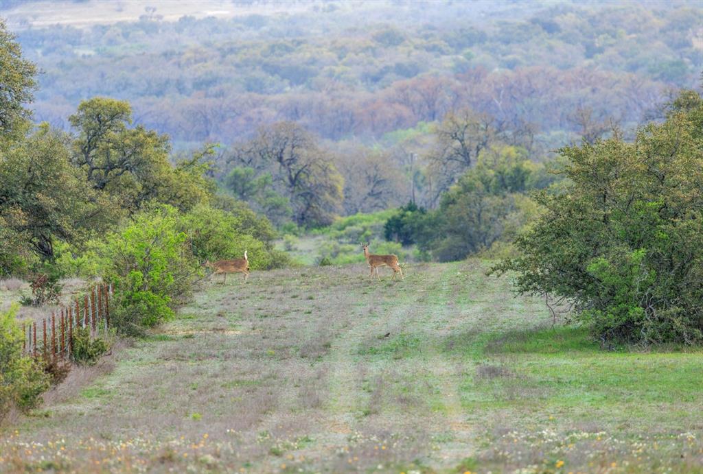 3101 Ranch Road 962, Cypress Mill, Texas image 37