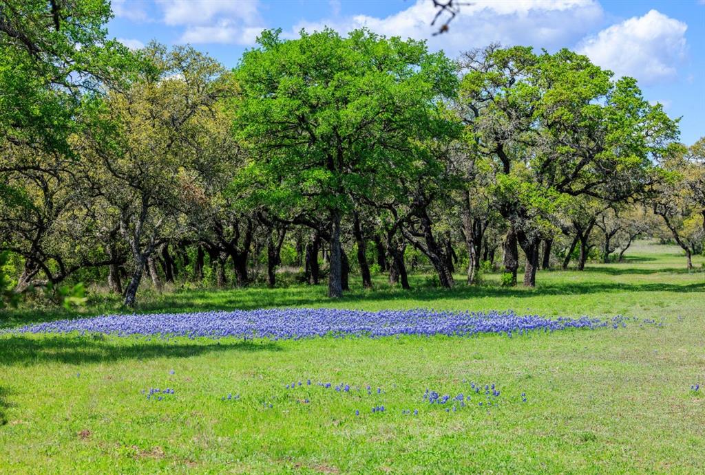 3101 Ranch Road 962, Cypress Mill, Texas image 6