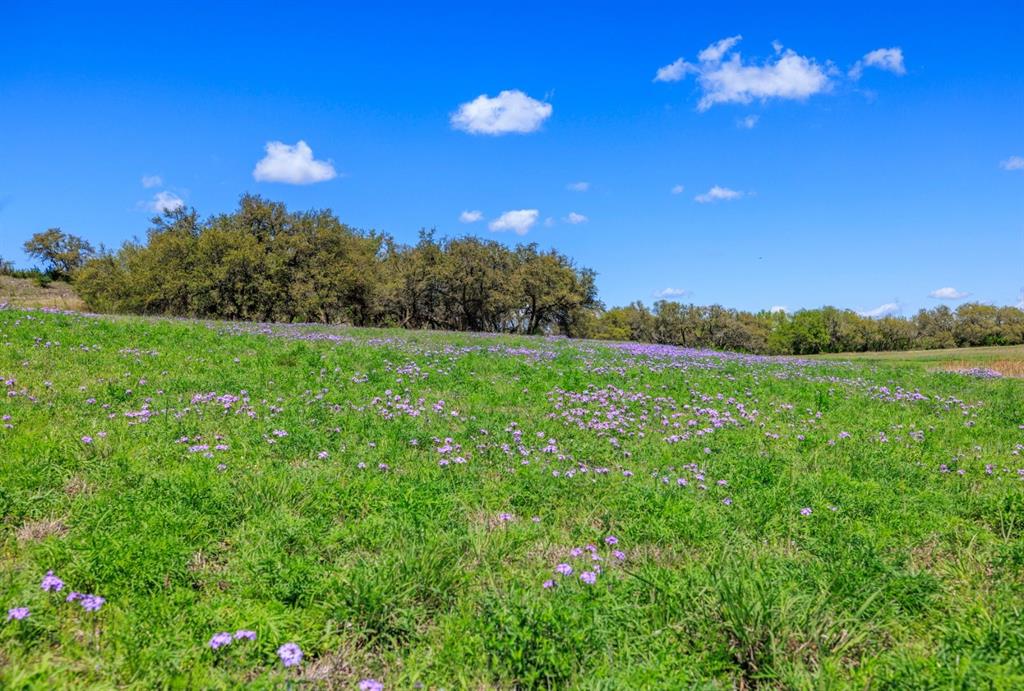 3101 Ranch Road 962, Cypress Mill, Texas image 31