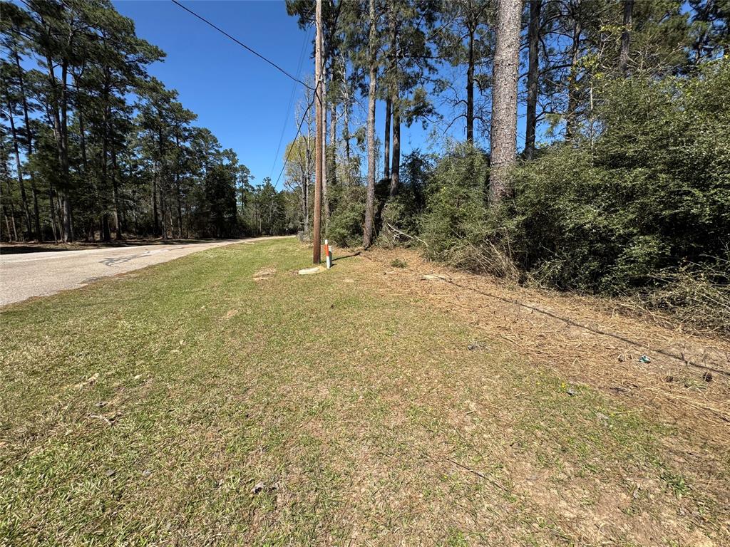 LOT 145 S Canyon Drive, Onalaska, Texas image 7