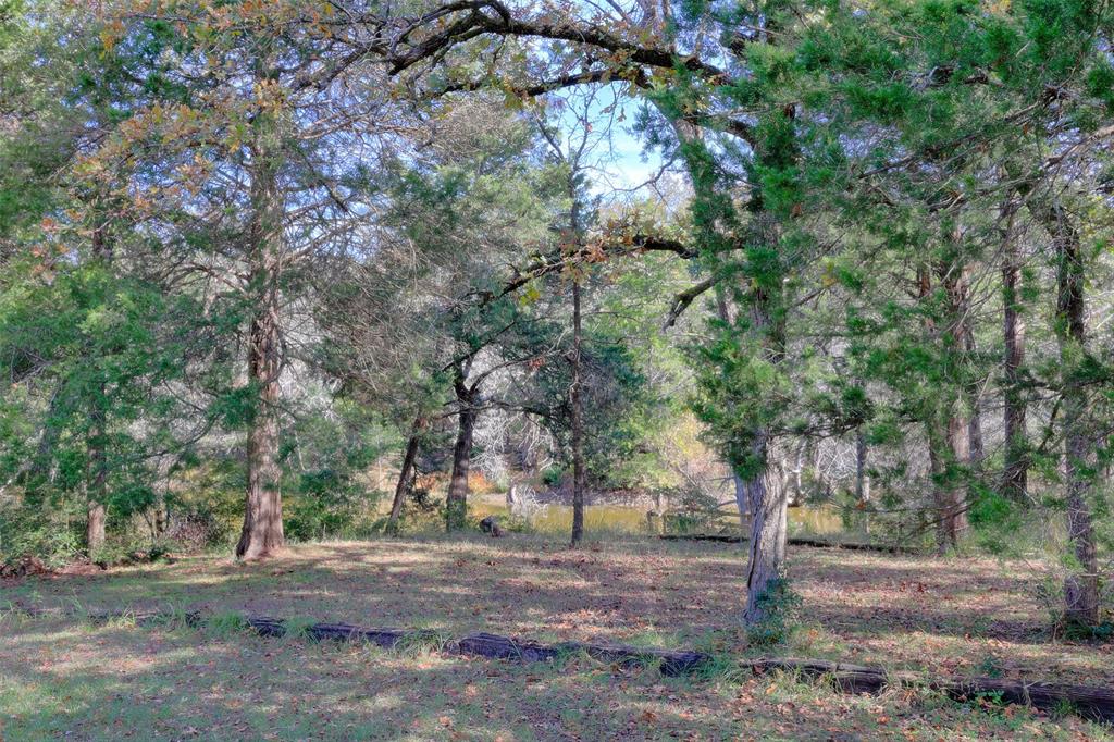 107 County Road 527, Fairfield, Texas image 33