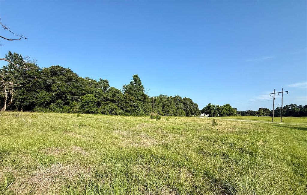 TBD Hot Springs Drive, Trinity, Texas image 4
