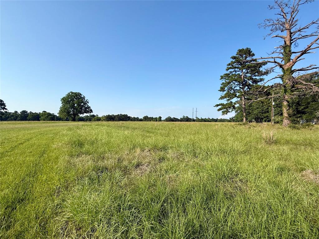 TBD Hot Springs Drive, Trinity, Texas image 3