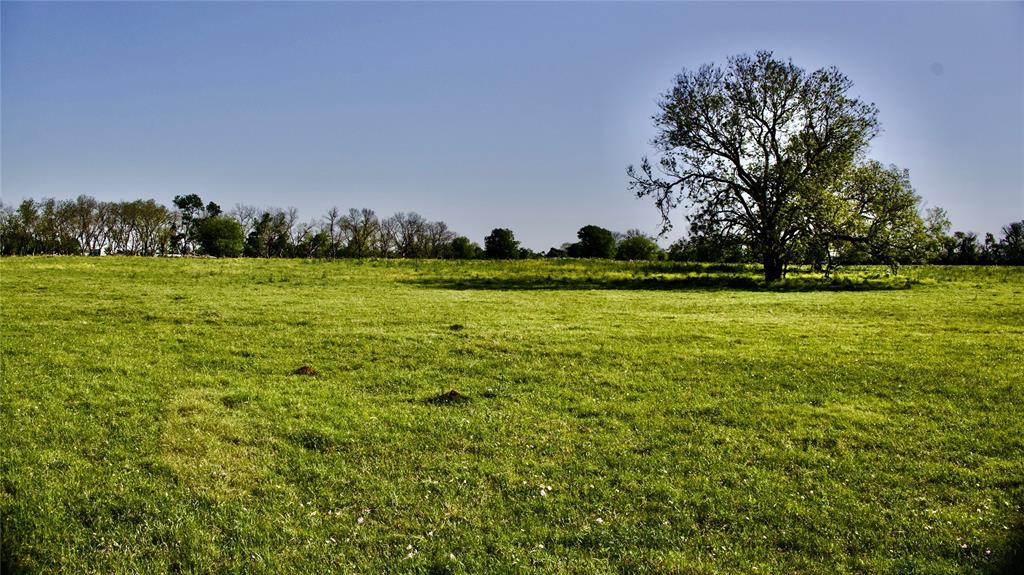 TBD 2 Fm 1887 Road, Hempstead, Texas image 1