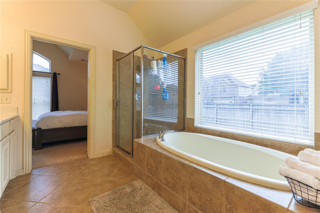 13501 Wild Lilac Court, Pearland, Texas image 24