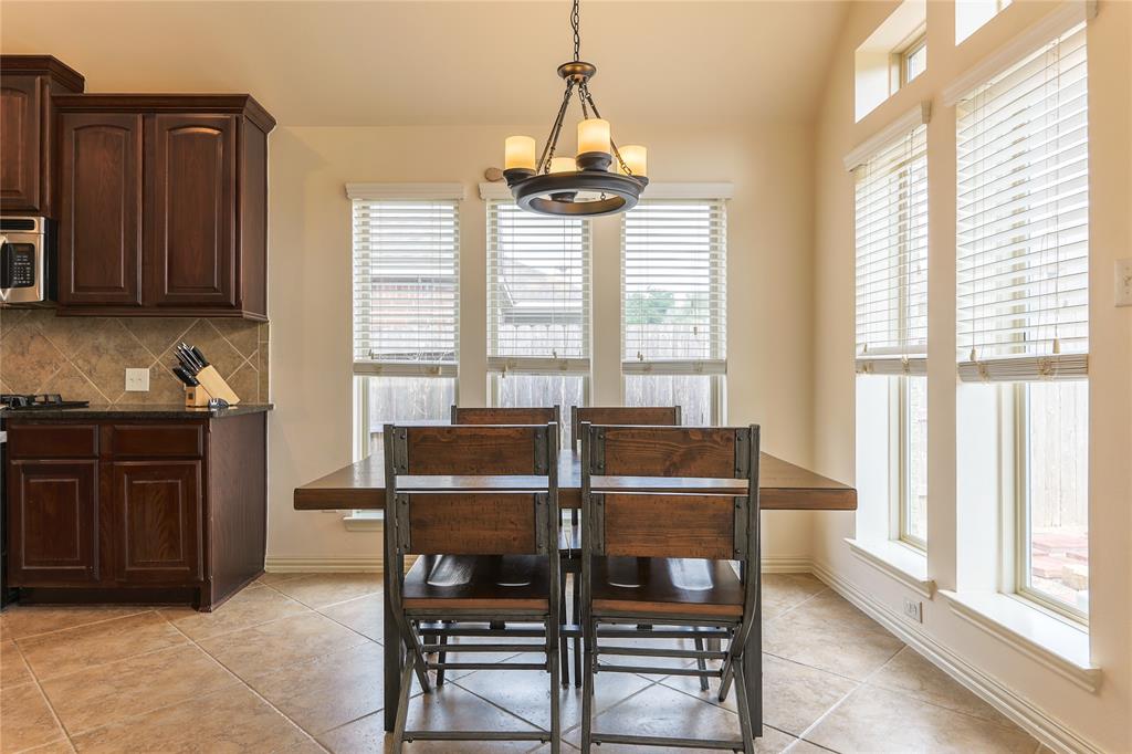 13501 Wild Lilac Court, Pearland, Texas image 18