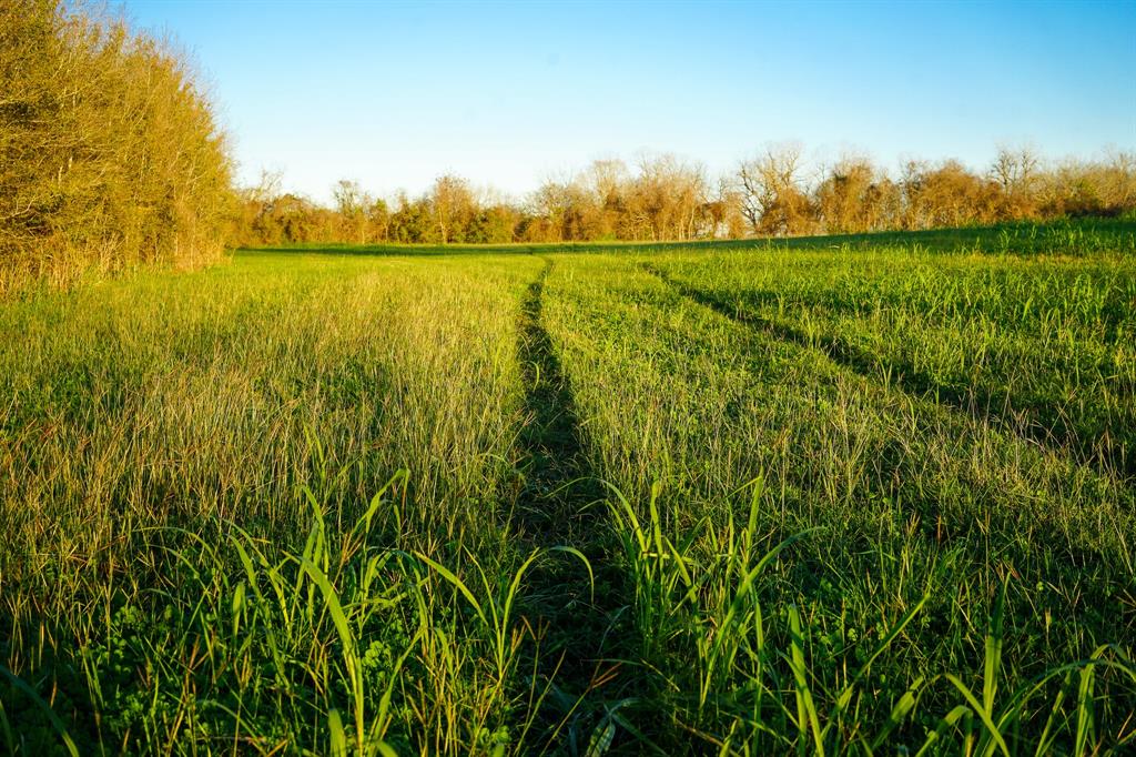 Harpers Church Road, Hempstead, Texas image 3
