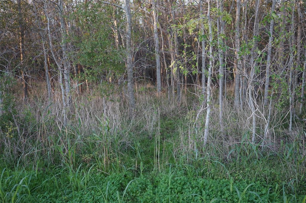 Harpers Church Road, Hempstead, Texas image 7